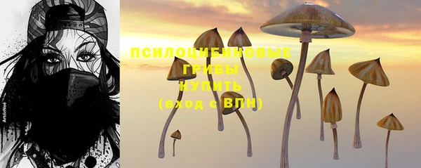 круглые Абаза