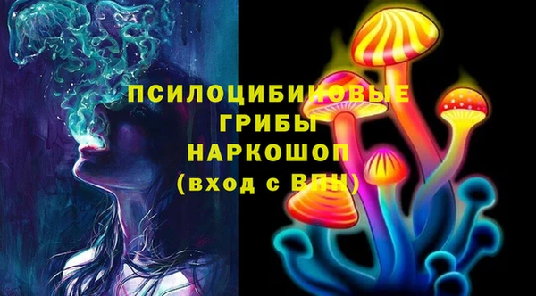 круглые Абаза