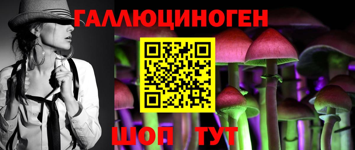 Псилоцибиновые грибы Psilocybe  Вход с VPN  Псилоцибиновые грибы GOLDEN TEACHER  Ялуторовск 